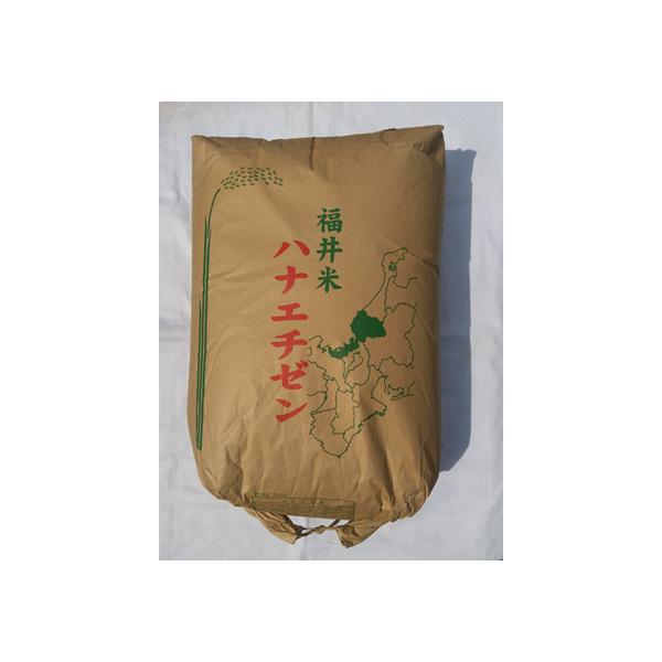 送料込み！30kg玄米 新米 滋賀県高島市産コシヒカリ