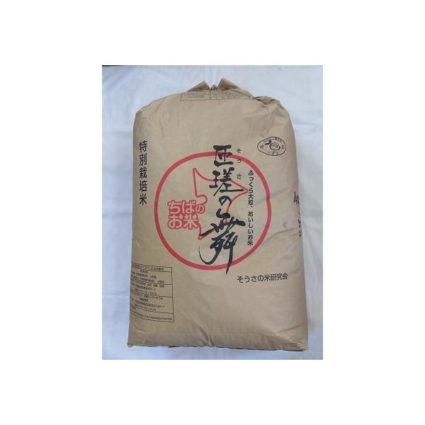ふさおとめ 【令和7年産 新米】千葉県産 減農薬 30kg(精米無料) 送料