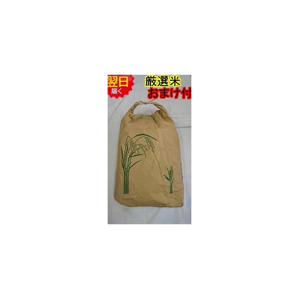 コシヒカリ 令和7年産 静岡県 地域厳選 玄米30kg(精米無料) 送料無料