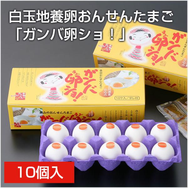 白玉 地養卵 おんせんたまご 「ガンバ卵ショ！」10個入 温泉卵 おんせん玉子 卵 たまご ご飯のお供 グルメ ギフト 贈り物