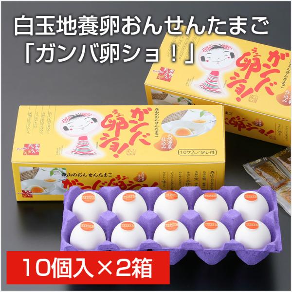 白玉 地養卵 おんせんたまご 「ガンバ卵ショ！」10個入2箱セット 温泉卵 おんせん玉子 卵 たまご タマゴ ご飯のお供 ギフト贈り物