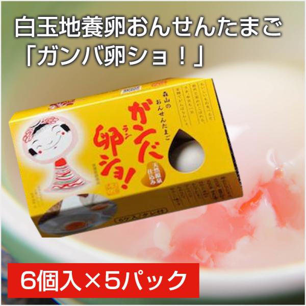 白玉 地養卵 おんせんたまご 「ガンバ卵ショ！」6個入5パックセット 温泉卵 おんせん玉子 卵 たまご ご飯のお供 グルメ ギフト 贈り物
