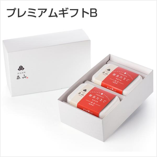 プレミアムギフトB