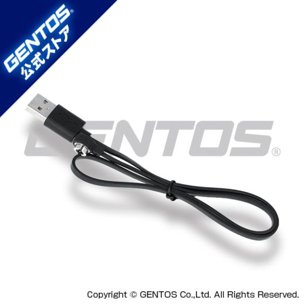 【仕様】●本体サイズ（約）：500mm●本体質量（約）：12g●適応機種：GH-101RG / GH-103RG / GH-109RG / GH-110RG / GH-200RG / GF-106RG / GF-114RG●ライト本体は付属...