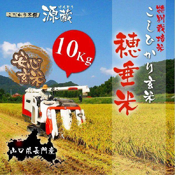 Ђ y䐂āz () 10Kg ߘaVNxY Vāyzyʍ͔|āziRYāj