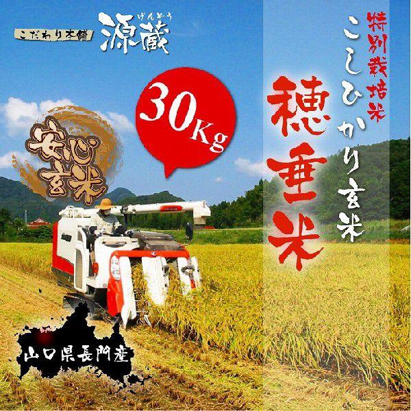 Ђy䐂ꌺāz() ߘaVNxY 30Kg(10kg×3) Vāyzyʍ͔|āz RY