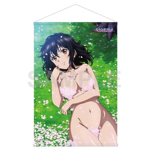 ストライク・ザ・ブラッド BIGタペストリー 姫柊雪菜 www.cleanlineapp.com