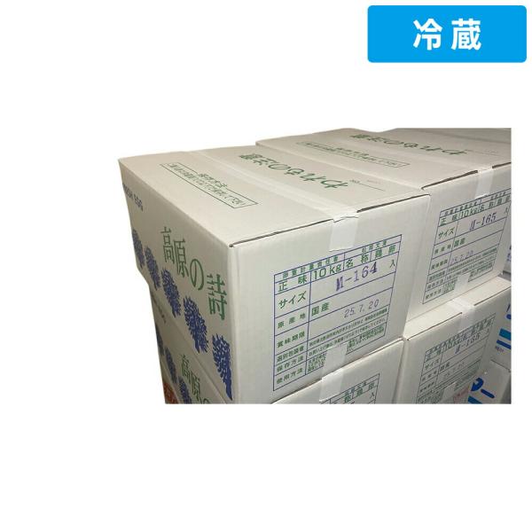 生たまご Ｍ 10kg 1箱 【冷蔵便】