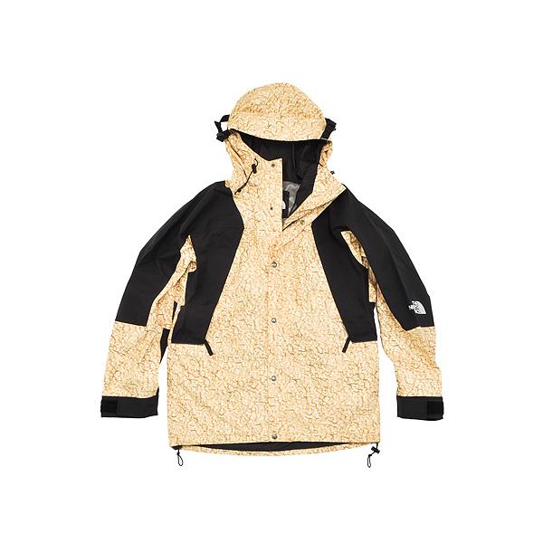 THE NORTH FACE 1994 SEASONAL RETRO MOUNTAIN LIGHT JACKET 【ザ  
