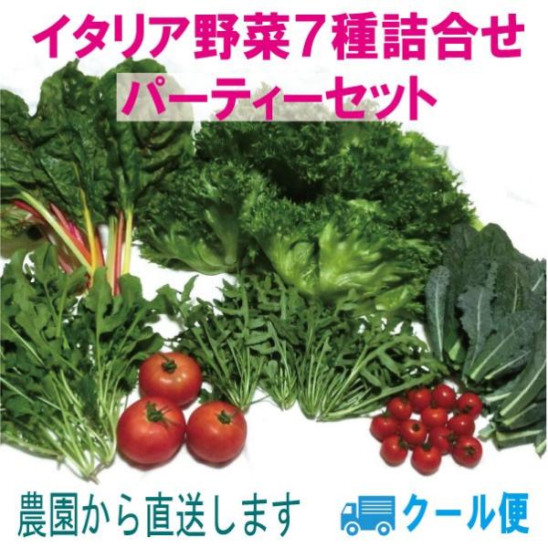 国産 イタリア 生野菜 パーティーセット７種 詰め合わせ クール便 クリスピーフリル ルッコラ ワイルドルッコラ カーボロネロ スイスチャード トマト２種 Buyee Buyee 提供一站式最全面最專業現地yahoo Japan拍賣代bid代拍代購服務 Bot Online