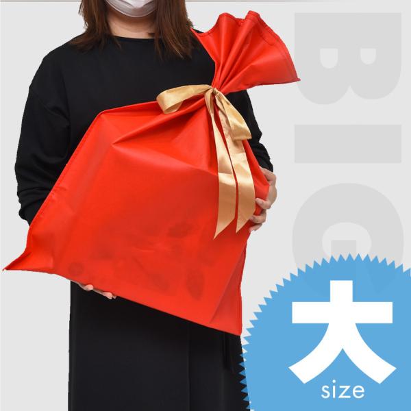 v[g   傫 NX}X a bsO 킢  80Z` 60Z` 80cm 60cm sDz {  bh