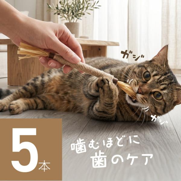 またたび 猫 マタタビ またたび棒 またたびの木 自然素材 おもちゃ 歯磨き 歯みがき またたびトイ 噛むおもちゃ 5本