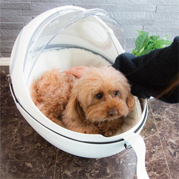 配送員設置送料無料 送料無料 ペット リュック キャリー 小型犬 犬用 猫用 リュックサック 562 ドーム おしゃれ カプセル ペット用品 ハード キャリーバッグ 2way