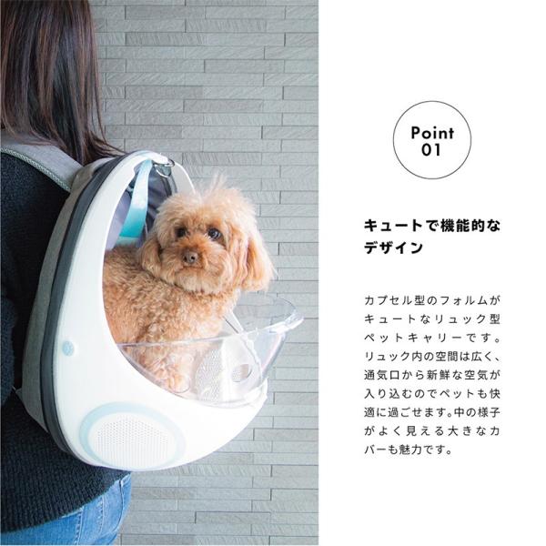 送料無料 ペット リュック キャリー 小型犬 犬用 猫用 リュックサック 店内全品対象 おしゃれ カプセル ペット用品 562 ハード ドーム 2way キャリーバッグ