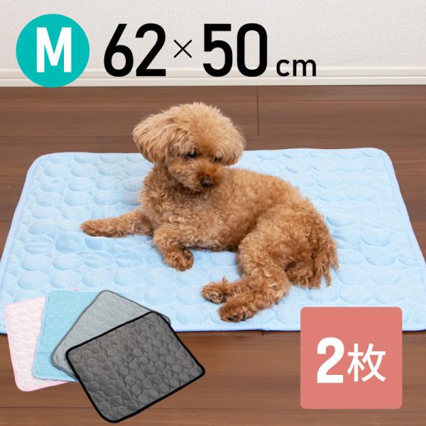 Ђ}bg ⊴~pbh MTCY p ^ Lp ⊴ Ђ N[ V[g O pbh V[c 􂦂  ې ėp