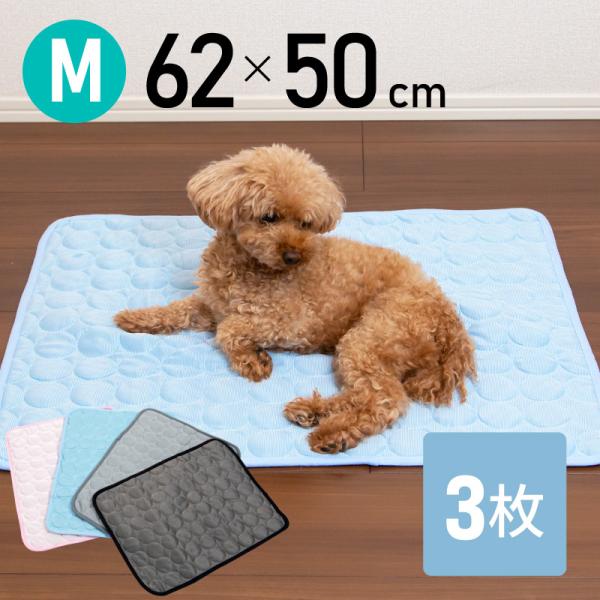 Ђ}bg ⊴~pbh MTCY p ^ Lp ⊴ Ђ N[ V[g O pbh V[c 􂦂  ې ėp