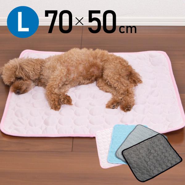 Ђ}bg ⊴~pbh LTCY p ^ ^ Lp ⊴ Ђ N[ }bg V[g O V[c ėp 􂦂