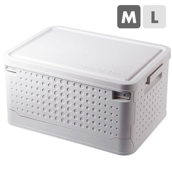 [{bNX [P[X t^t vX`bN  k ܂肽 Rei LX^[t Wt