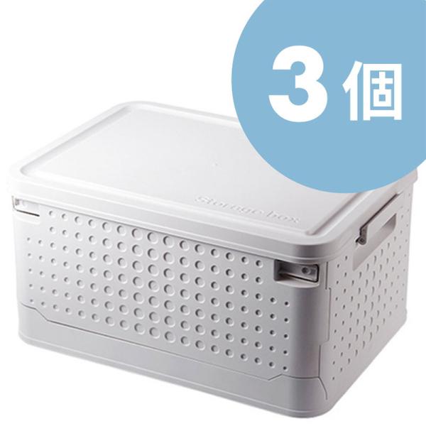 [{bNX [P[X t^t vX`bN  k ܂肽 Rei LX^[t Wt