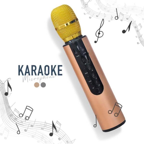 [Release date: June 25, 2020]カラオケ マイク bluetooth 家庭用 ワイヤレスマイク テレビ 接続 練習 録音 家 自宅 音楽再生 | マイクロSD MP3 WMA WAV スマホ iPhone Andr...