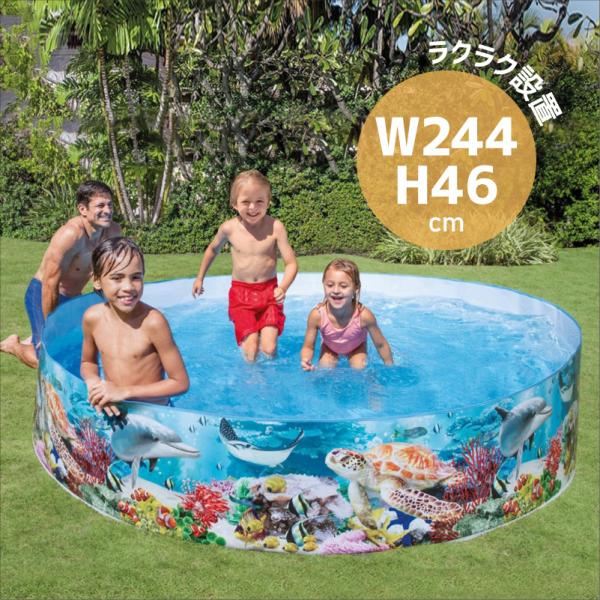 v[ ^ Csv ȒP  INTEX CebNX ƒpv[ 傫v[ ~` 244cm rj[v[ V Ή