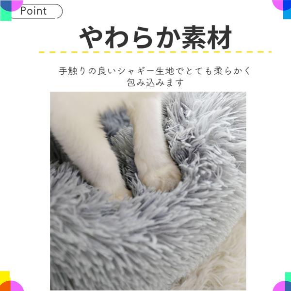 ggg_mr242_2_d_20231013141852