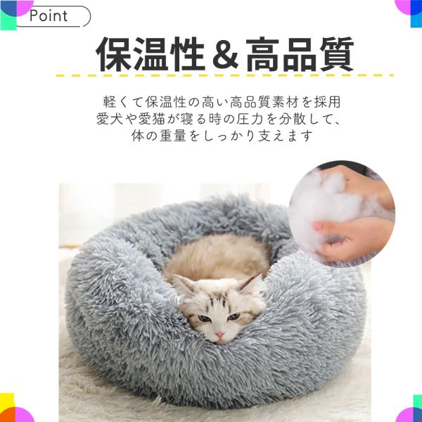 ggg_mr242_5_d_20231013141901