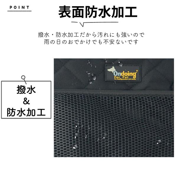 ggg_mr358_3_d_20240918123817