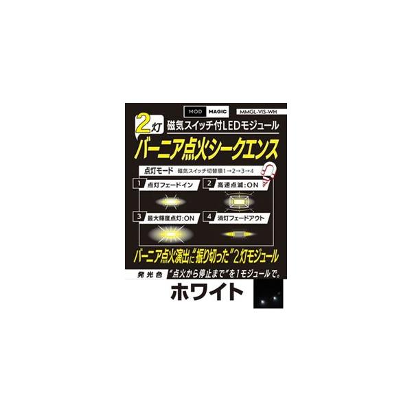 磁気スイッチ付LEDモジュール バーニア点火シークエンス 2灯ホワイト MMGL-VIS-WH 模型用LEDモジュール