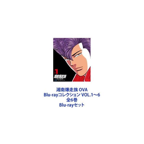 湘南爆走族 OVA Blu-rayコレクション VOL.1〜6 全6巻 | JChere