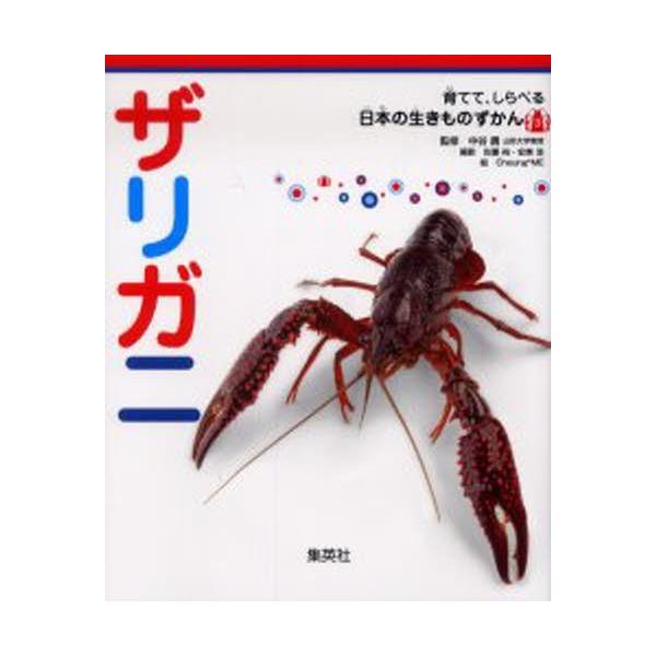 ザリガニ ぐるぐる王国2号館 ヤフー店 通販 Yahoo ショッピング