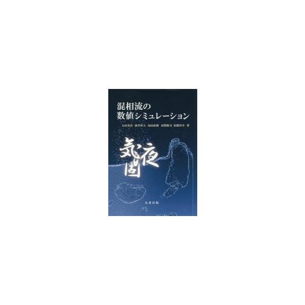 混相流の数値シミュレーション