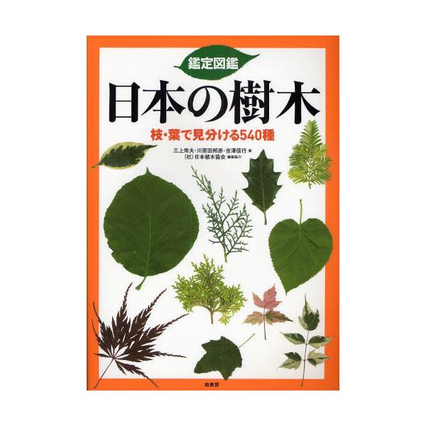 鑑定図鑑日本の樹木 枝・葉で見分ける540種 : ぐるぐる王国2号館