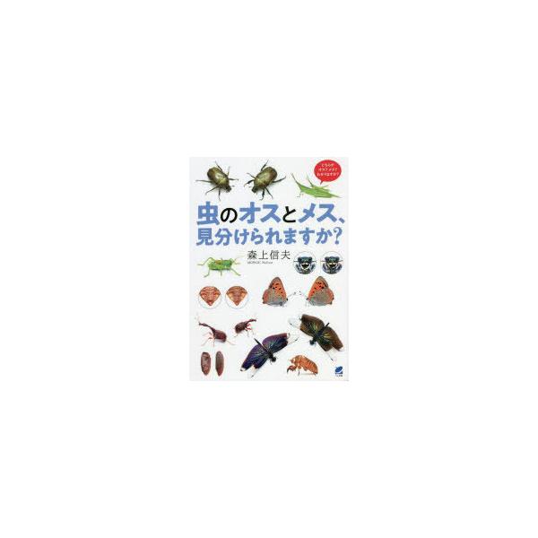 虫のオスとメス、見分けられますか？/森上信夫