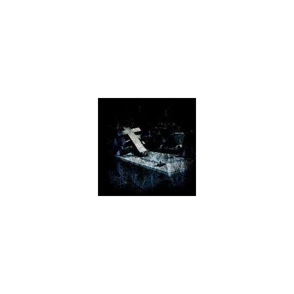BLOOD／VENGEANCE for BLOOD LIVE in MEXICO [DVD]