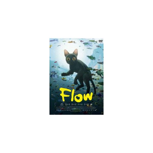 Flow DVD