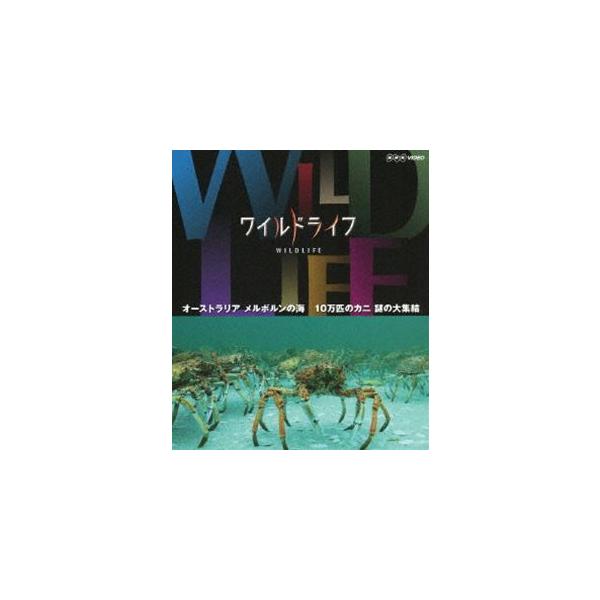 ワイルドライフ オーストラリア メルボルンの海 10万匹のカニ 謎の大集結 [Blu-ray]