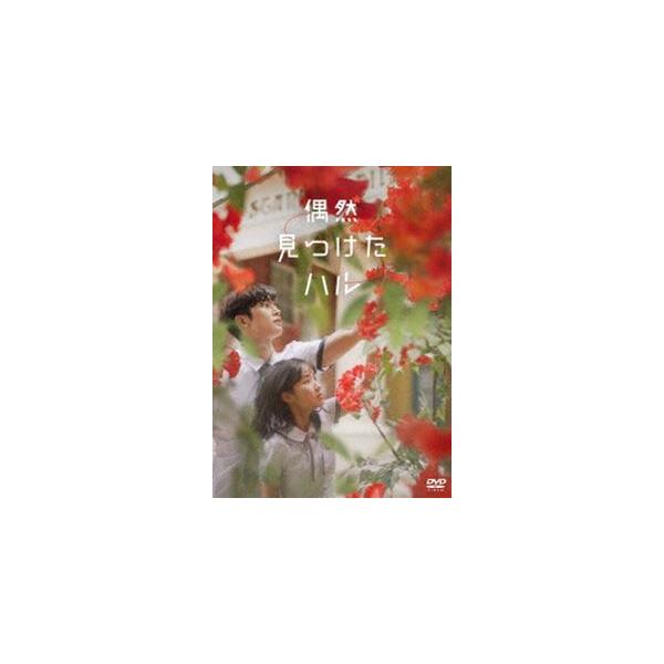 偶然見つけたハル DVD-BOX1 [DVD] : ぐるぐる王国2号館 ヤフー店