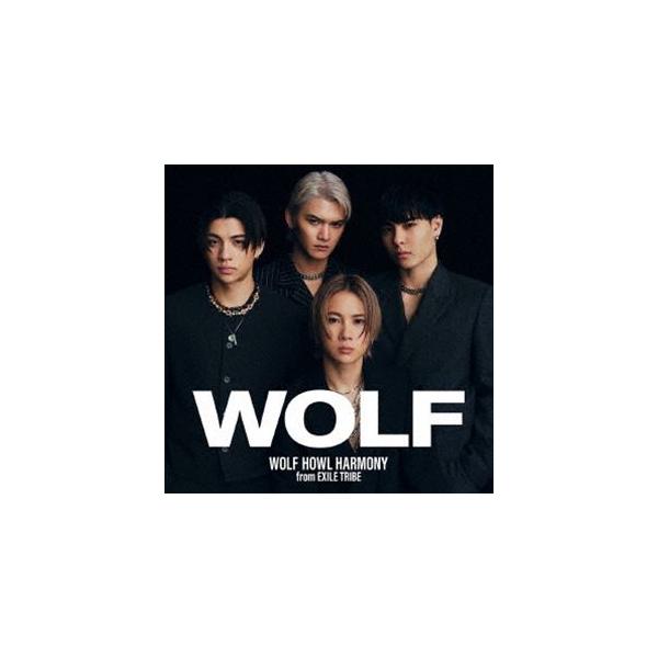 商品 運転席&助手席ピリオンキット ハーレーファットボーイ EFI