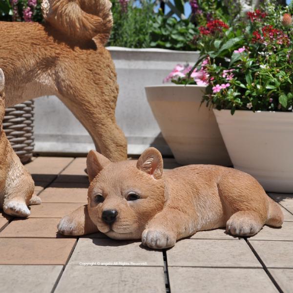 犬 置物 販売期間 限定のお得なタイムセール 柴犬 伏せ柴ガーデン おしゃれ オブジェ 玄関 動物 オーナメント