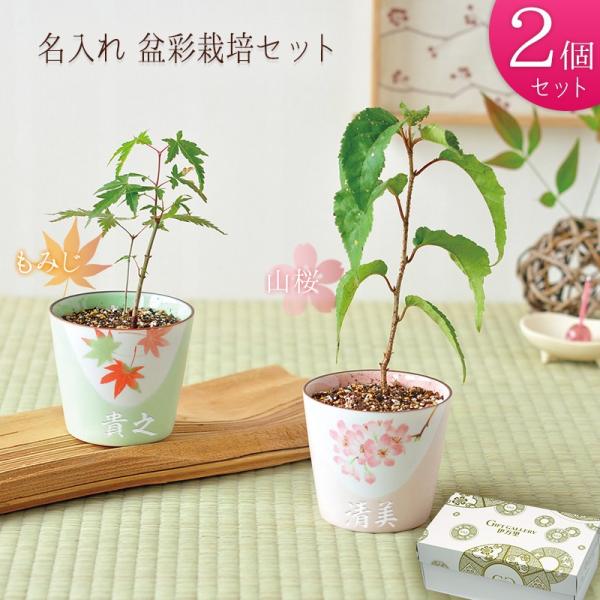 名入れ プレゼント ペア 結婚祝い 盆栽 盆栽セット 桜 紅葉 記念品 結婚記念日 両親 名前入り ギフト 退職祝い 男性 女性 プレゼント 60代 Buyee Buyee Japanese Proxy Service Buy From Japan Bot Online