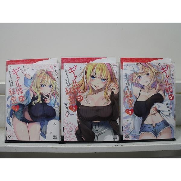ギャル嫁の秘密 1-3巻セット 中古コミック D142-comic