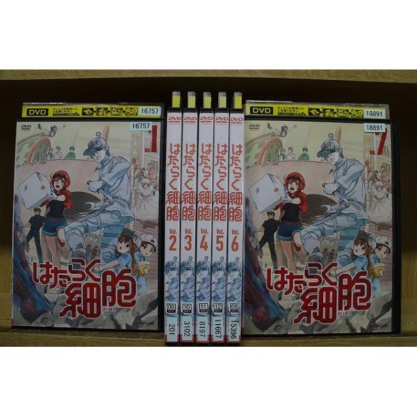 DVD はたらく細胞 全7巻 ※ケース無し発送 レンタル落ち ZEE616