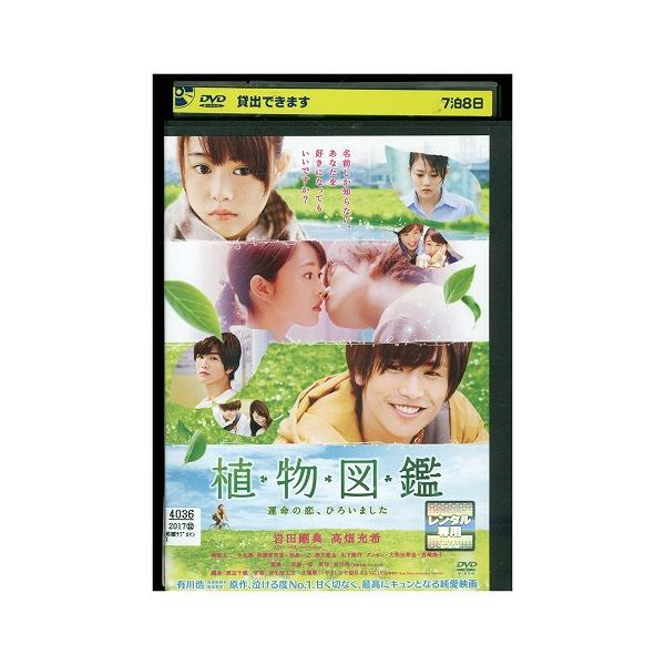 DVD 植物図鑑 運命の恋、ひろいました 岩田剛典 高畑充希 レンタル落ち