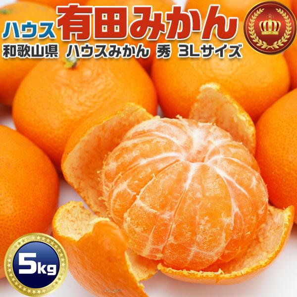 有田みかん ハウスみかん 秀品 3Lサイズ 5kg 和歌山県産 贈答用 お中元 プレゼント ギフト 食べ物