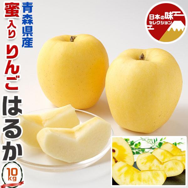 青森 蜜入り はるか りんご 10kg 箱 訳あり 青森県産 ご家庭用 サイズ