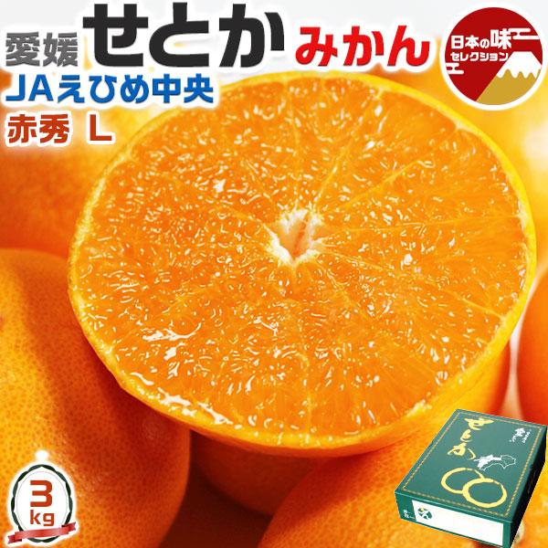 愛媛 せとか みかん 3kg 等級：赤秀 Lサイズ えひめ県産 1月下旬〜2月