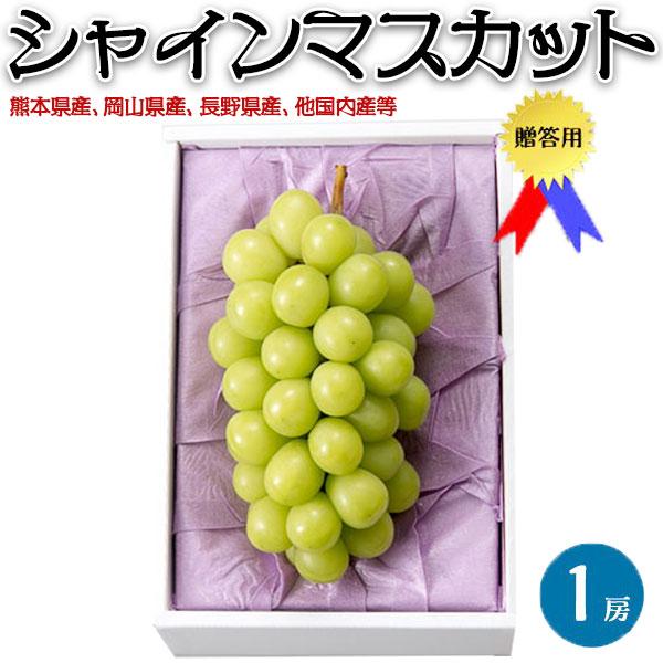 VC}XJbg p 1[  550g Ԃǂ Ԃǂ uhE Ȃ hV̓ x20x F{ R 쌧Y v[g ϔ N[ 