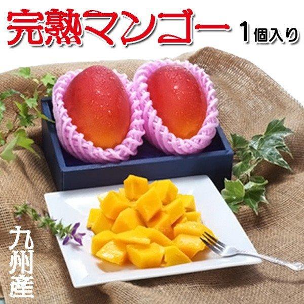 マンゴー 完熟マンゴー アップルマンゴー同品種1個入 贈答用 九州産