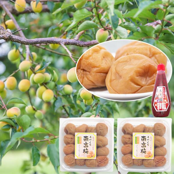 Ԃ~ ݂͂ 500g×2pbN v1kg + IB썂~ ~1{  180g Zbg a̎RY Ԃꂤ ݂͂Ђ  ~ 󂠂